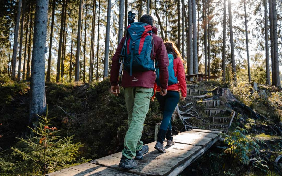 Interaktiver Moosmännlein-Sagenweg