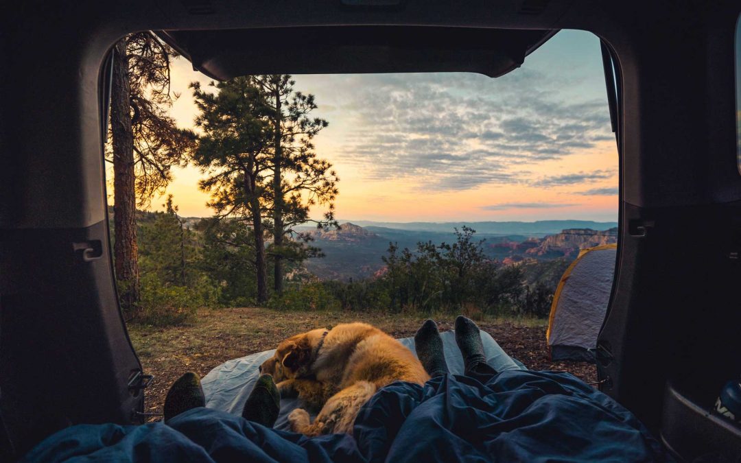 Ausschreibung                Errichtung Campingplatz