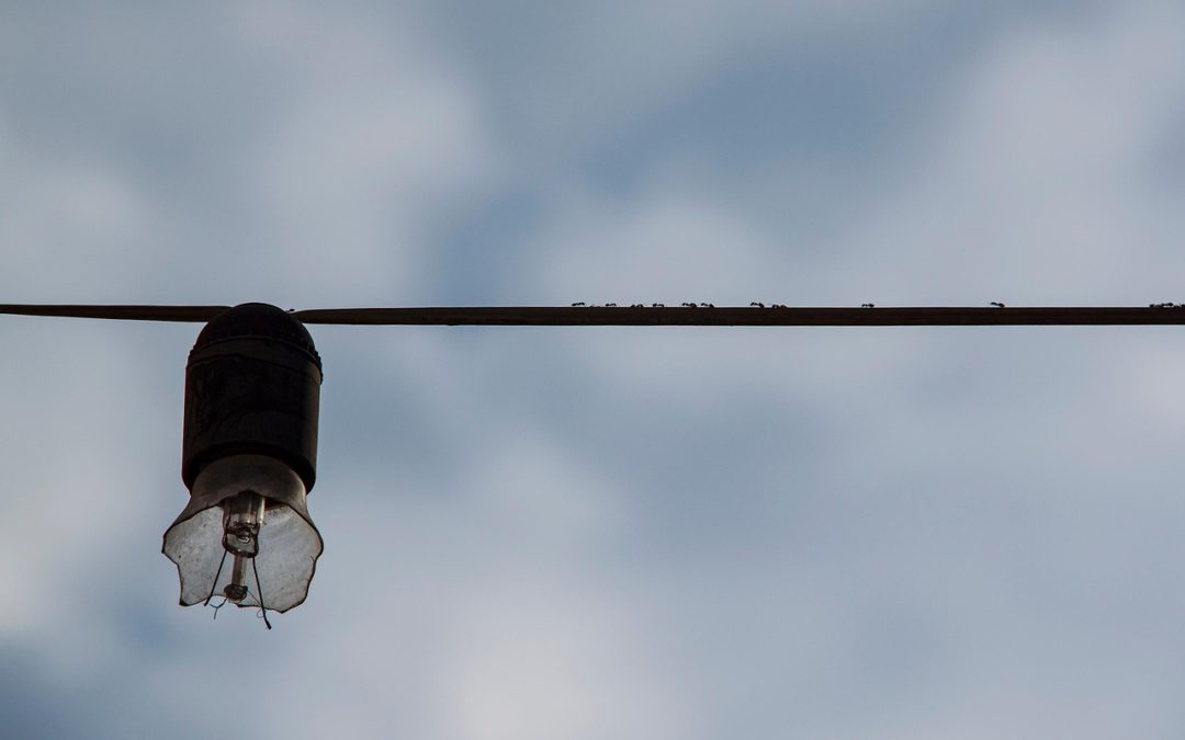 Neuer Onlineservice – Mängelmelder